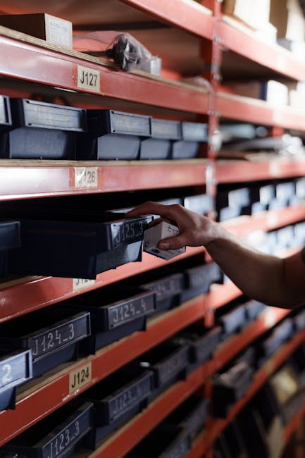 Mastering Your Warehouse Management System for Optimal Efficiency